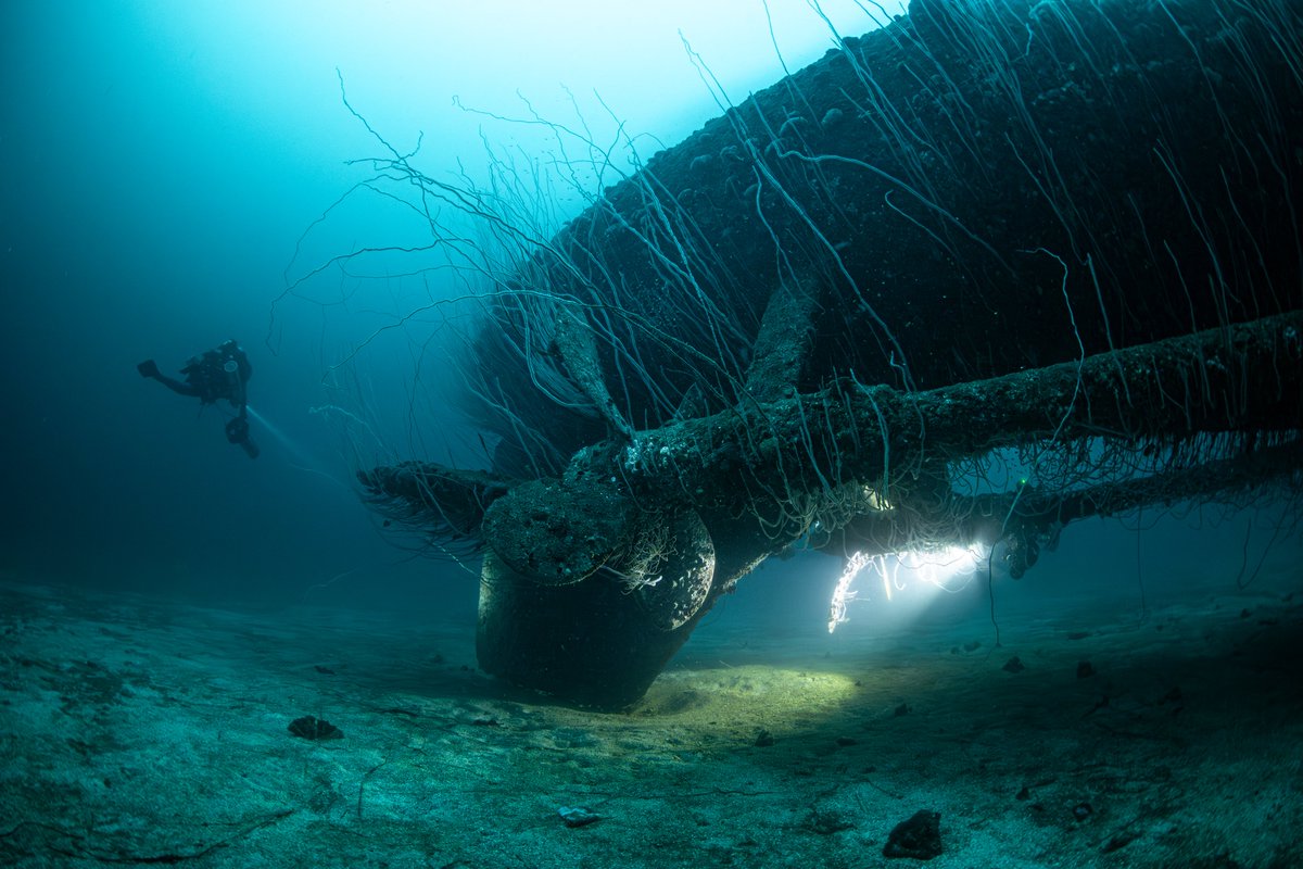 Divesoft tweet media