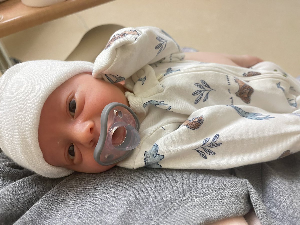 amber_harbin16's tweet photo. I can’t believe our sweet pumpkin is already a week old!🥹🩵 @ThAbEaR_95 https://t.co/QyI9ga9eTS