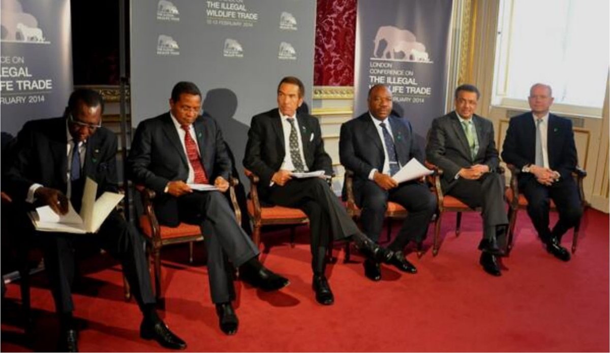 EPIAfrica's tweet photo. This month, 10 years ago, leaders from #Botswana, #Chad, #Ethiopia, #Gabon, and #Tanzania launched @EPIAfrica an African-led, partnership-based conservation initiative. Today, we celebrate our growth to 24 member countries, and #10YearsofElephantConservation. How did you get to know about the EPI? #EPIat10