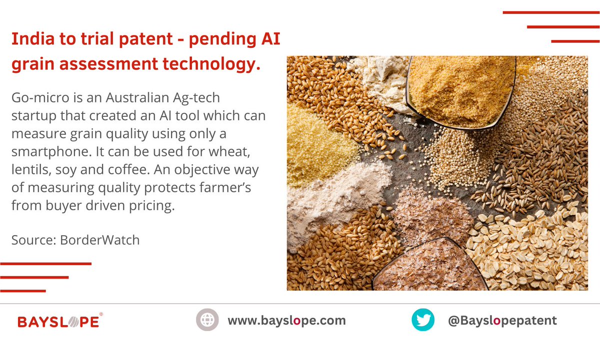 India tests AI technology for grain assessment.

#AIInnovation #GrainTechnology #AgriculturalTech #PatentPending #IndianTech #FoodSecurity #PrecisionAgriculture #TechInFarming #SmartAgriculture #AgriInnovation
