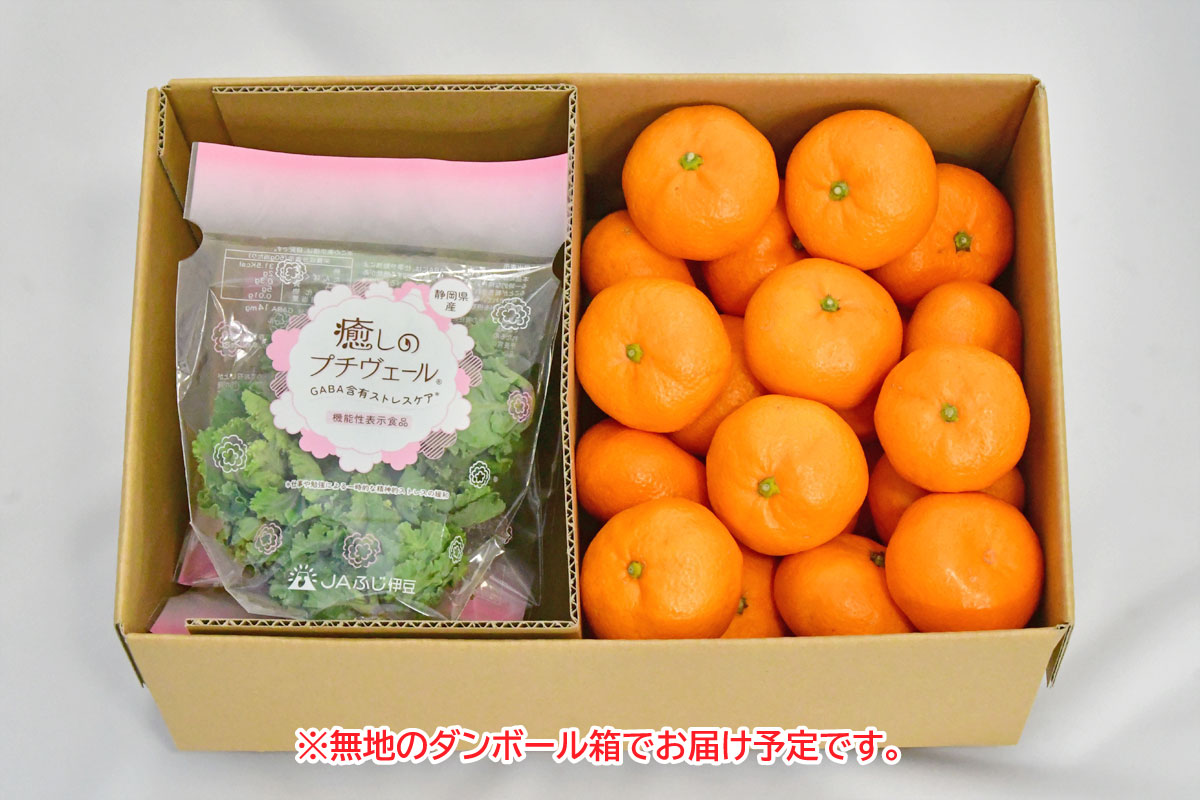 🍊数量限定2/1～2/26販売🍊／ 機能性表示食品に登録された「西浦みかん