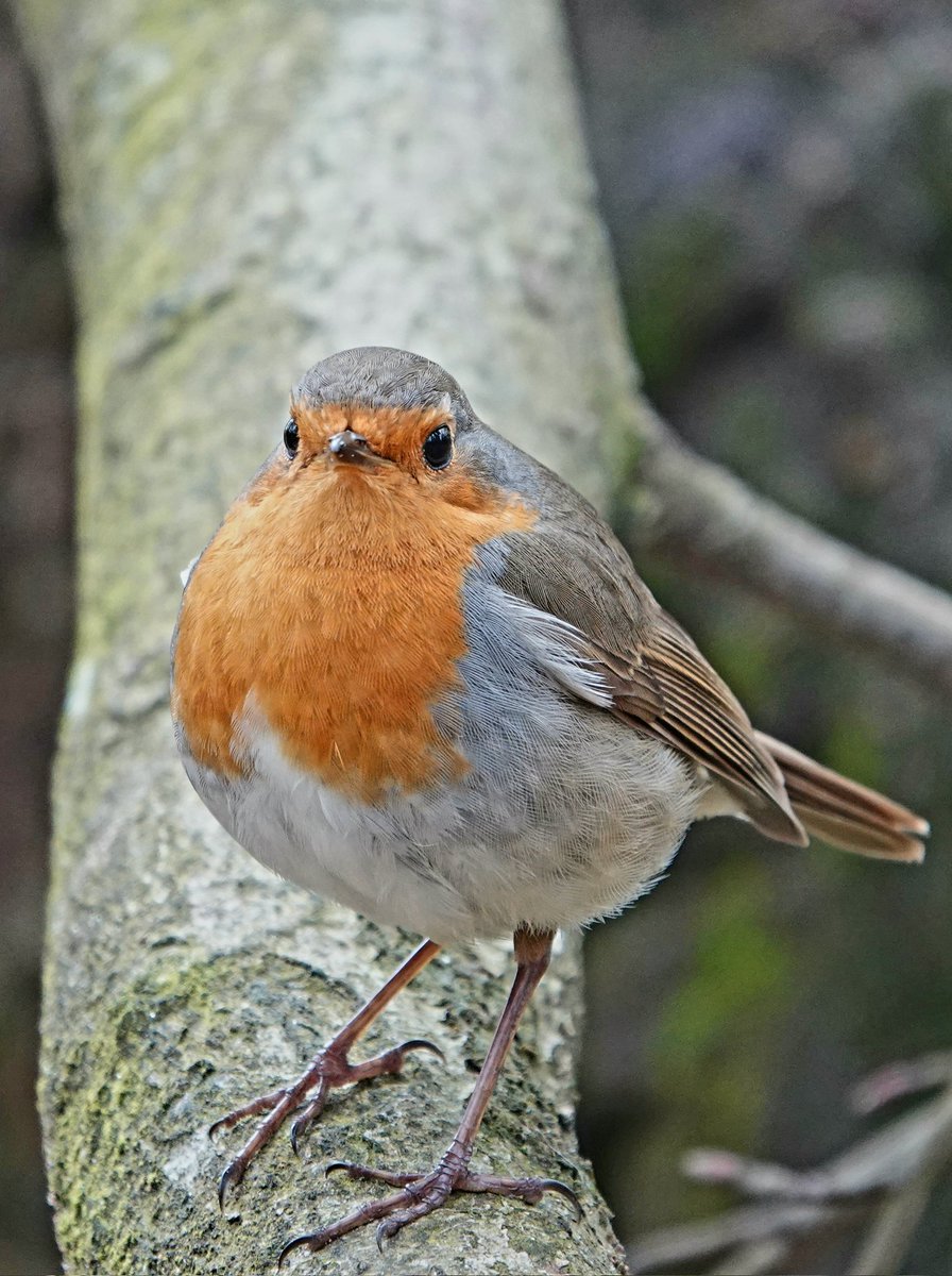 GFPIURUXIAAx92C?format=jpg&name=medium