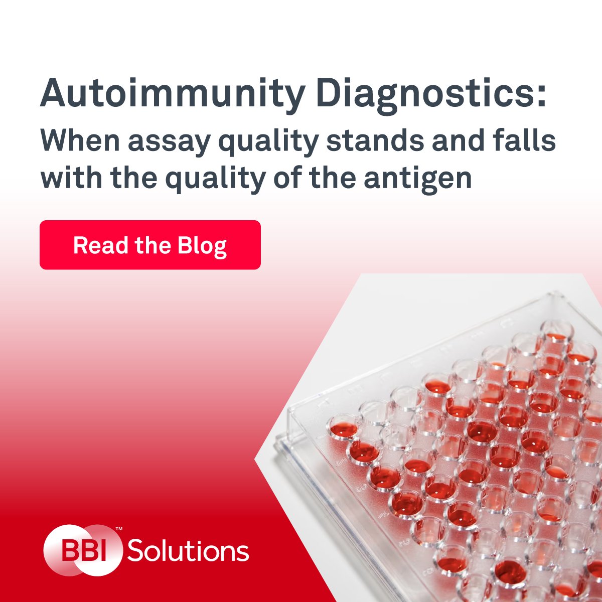 bbi_solutions's tweet image. The quality of the antigens used in an immunoassay, or any similar assay setup used to detect autoantibodies, is crucial to avoid false-positive or false-negative results. Read the blog to learn about upcoming developments in autoimmune diseases - loom.ly/C7Fn174