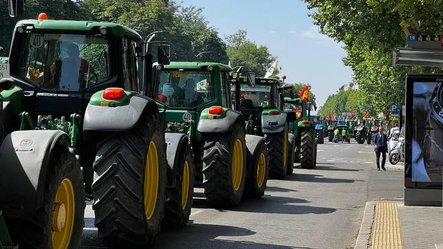 🔴| ÚLTIMA HORA

Una importante tractorada de agricultores portugueses se dirige en estos momentos hacia la frontera de Caia. 

👉 El campo luso sigue hoy los pasos de otros países de Europa como Francia.

➕ También hay tensión en la carretera de Villanueva del Fresno