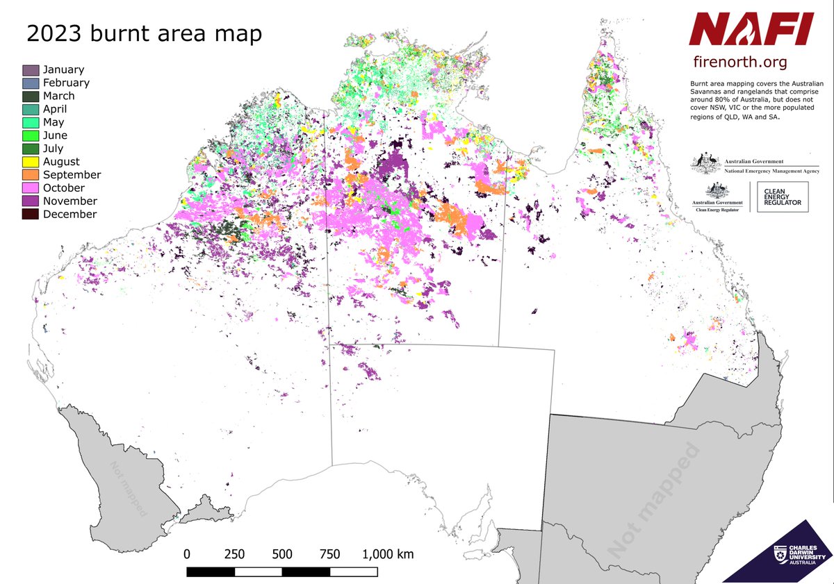 The final burnt area mapping for 2023 shows the extensive fires across the Brakly, Tanamai and Great Sandy desert regions. The biggest fire year in over a decade inthese landscapes. However, it also shows the extensive cool burns conducted early in the year across the Northern..