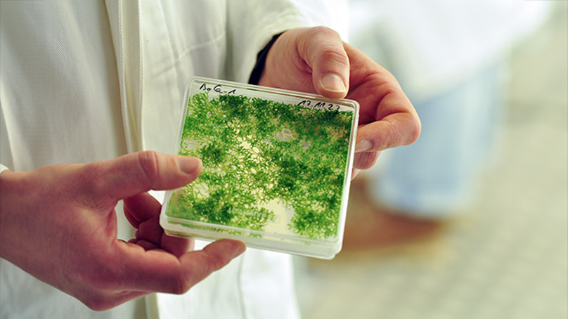 Was wir von Moosen über Klimaresilienz lernen können, erforscht das MAdLand Projekt <a href="/watertoland/">MadLand</a> . Die #UOS ist mit Teilprojekt beteiligt.

go.uos.de/3Cp5T

#Klima #Umweltschutz #Biologie #science #Klimawandel #research #Umwelt