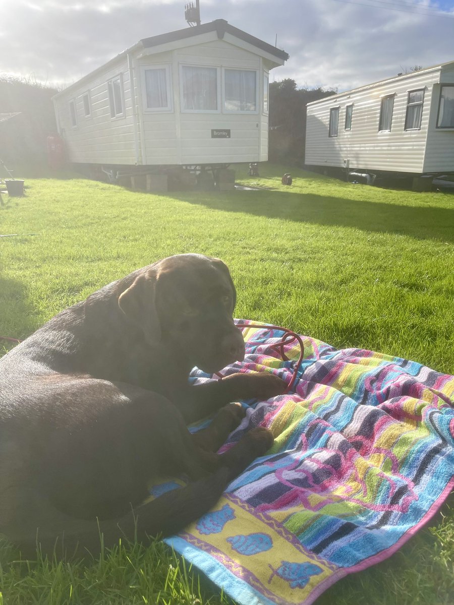 CornwallCaravan's tweet photo. When it’s time for jet washing all the caravans, Bo knows the best place to be. 

https://t.co/fqxvFqquL0

#dogwalker #doglovers #dog #dogfriendlyaccommodation #dogfriend #dogfriendly #dogfriends #dogsofinstagram #dogfriendlyholidays #doglover https://t.co/iNoRISgdsI