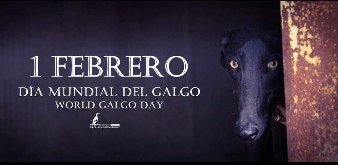 F. Benjamín Mehnert (@fundacionbm) on Twitter photo 