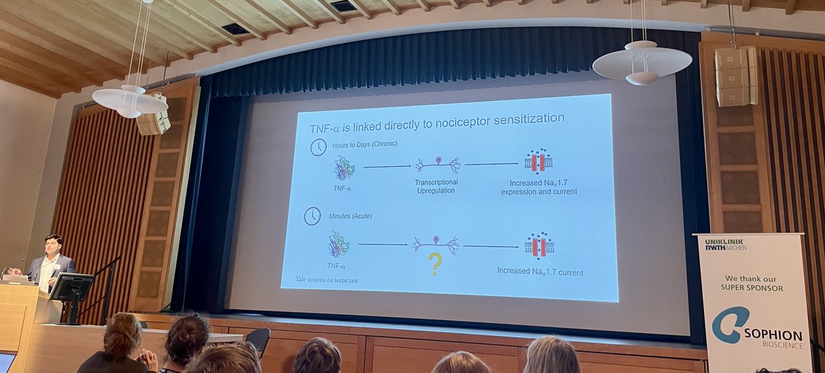 Great talk from Sid Tyagi of #Waxman lab on #TNFalpha & functional modulation of Nav1.7 in #inflammatory #Pain at #WSCC #Grindelwald

More on this work here: cell.com/cell-reports/p… 

#ephys #electrophysiology #patchclamp #automatedpatchclamp #Qube