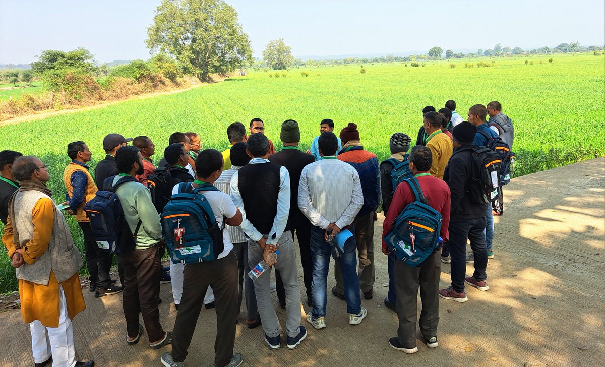 maske_aec's tweet image. A group of 40 farmers from 4 districts of Bihar participated in 3 day's #CapacityBuildingProgram on #ClimateResilientAgriculture at @BISA__India Research Station, Jabalpur (MP).

@CIMMYT @icarindia @BametiBihar @Agribih