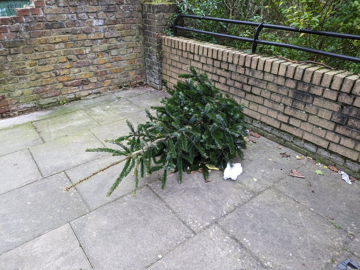 Stuart Gray tweet media