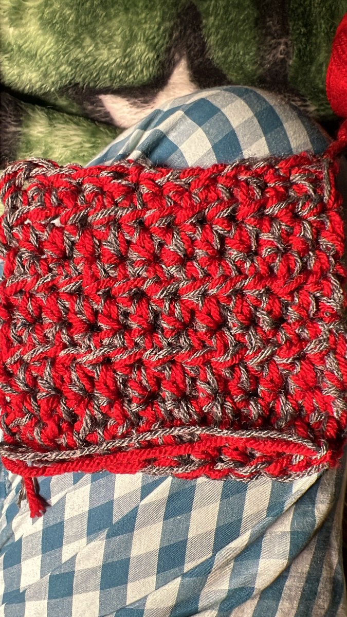 dutchessleeisa's tweet photo. Update on latest #YarnProject have about 1/4 done ✅ #HomeMadeGifts🎁#CrochetBlanket🛏️ #YarnAddiction🧶 #BlanketAddict
#ChrochetAddict🪢 @JoAnn_Stores @DollarTree #BigTwist #SparkleGrey #PremireYarns #RedWorsted #CharcoalAcrylicFill #Twisted🌪️ #TwoStrandChrochet #HalfDoubleChrochetStitch🪡 ♥️from Pittsburgh