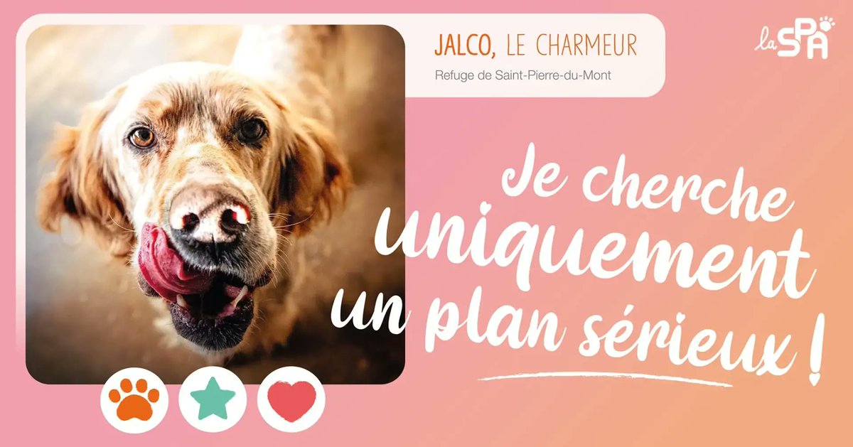 BlogDuWebdesign's tweet image. En février, on célèbre l&apos;amour avec créativité.

Découvrez les 14 campagnes de pub Saint Valentin qui ont fait battre nos cœurs ❤️‍🔥

blogduwebdesign.com/blog/graphisme…