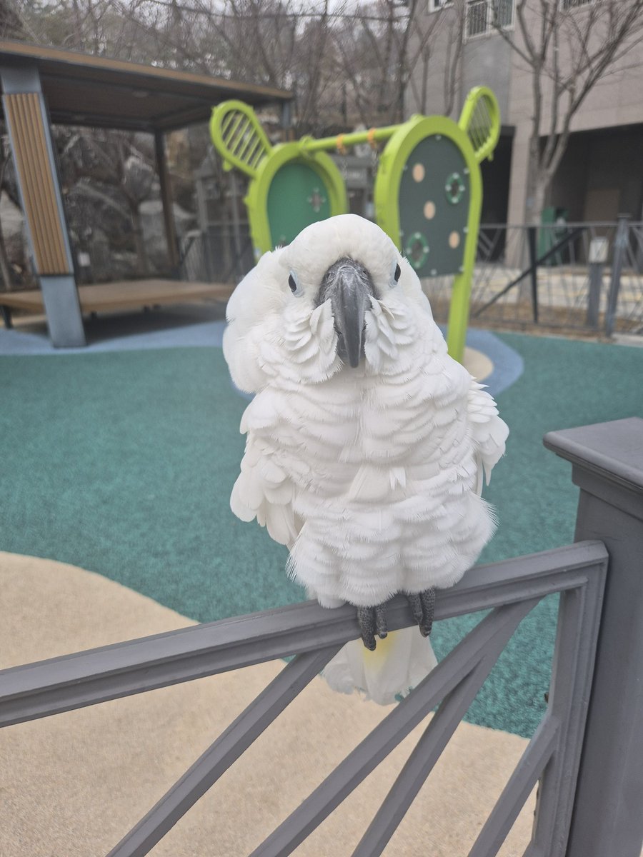 짱아랑 쓰레기버리러 나갔다왔어요우