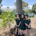 Photo by Fern BayPublicSchool (@fernbayps)