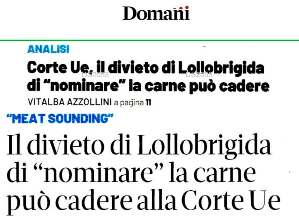 Lucio Malan tweet media