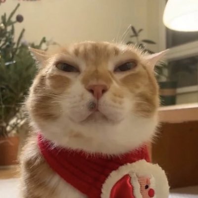 evanroycebacon's tweet photo. #NewProfilePic https://t.co/SgDvxRBTGs