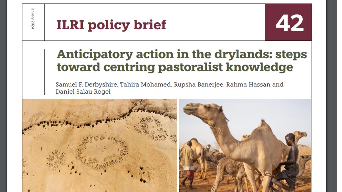 ILRI.org (@ilri) on Twitter photo New ILRI policy brief sets out key problems holding back humanitarian #anticipatoryaction for drought, which is affecting pastoralist livelihoods and economies, based on research by <a href="/jameel_observ/">Jameel Observatory for Food Security Early Action</a> <a href="/SPARC_Ideas/">SPARC_Ideas</a> <a href="/ILRI/">ILRI.org</a>.
hdl.handle.net/10568/138679 New ILRI policy brief sets out key problems holding back humanitarian #anticipatoryaction for drought, which is affecting pastoralist livelihoods and economies, based on research by <a href="/jameel_observ/">Jameel Observatory for Food Security Early Action</a> <a href="/SPARC_Ideas/">SPARC_Ideas</a> <a href="/ILRI/">ILRI.org</a>.
hdl.handle.net/10568/138679