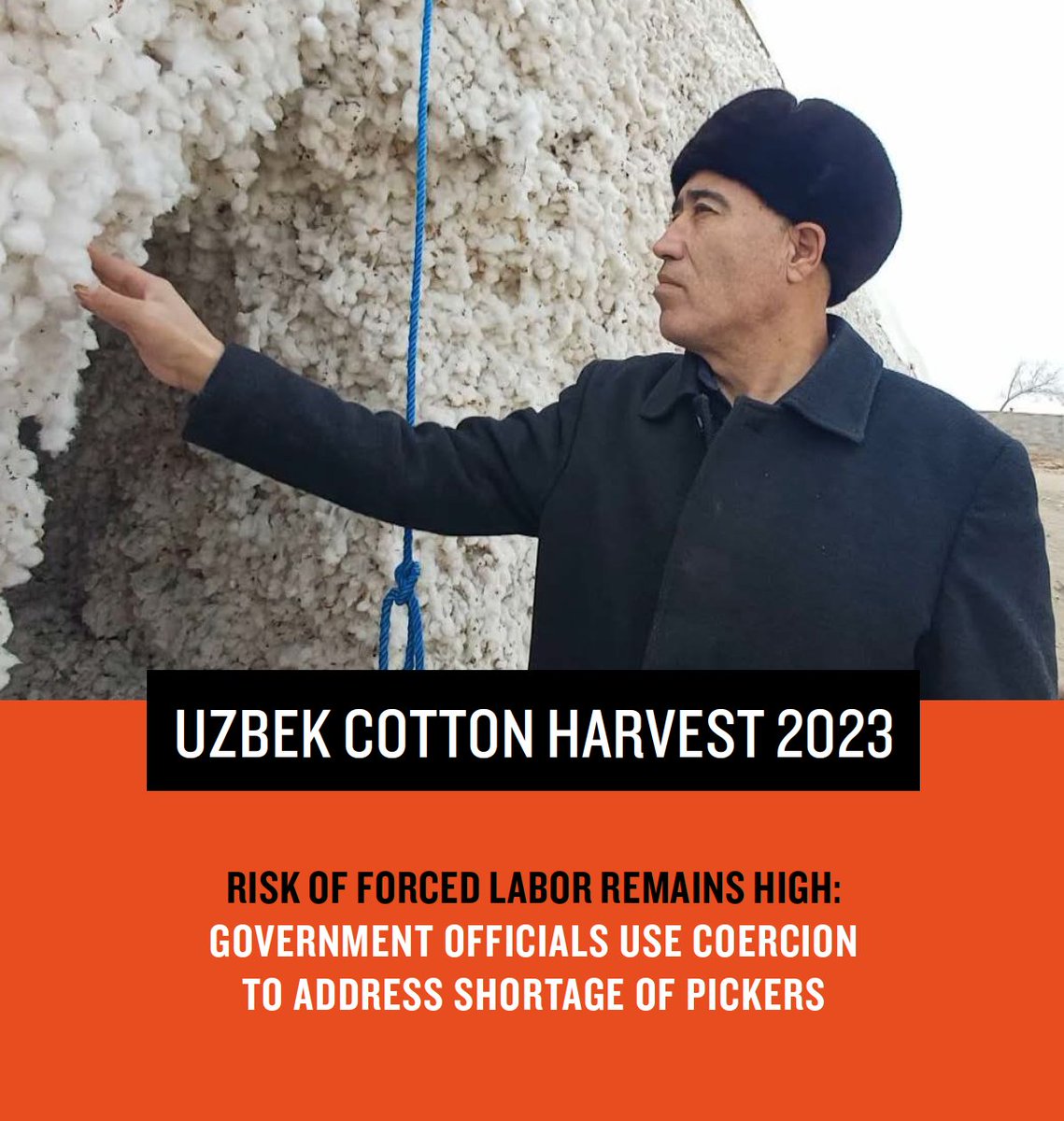 📢 
Risk of #forcedlabor remains high in #Uzbekistan's #cotton fields. Faced with a shortage of voluntary pickers, officials turned to coercion to fulfill state-imposed production targets. 
Read our report on the 2023 cotton harvest 👇
bit.ly/3Up958y