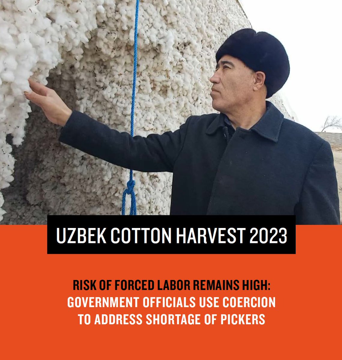 📢 Risk of #forcedlabor remains high in #Uzbekistan's #cotton fields. Faced with a shortage of voluntary pickers, officials turned to coercion to fulfill state-imposed production targets. Read our report on the 2023 cotton harvest 👇 bit.ly/3Up958y