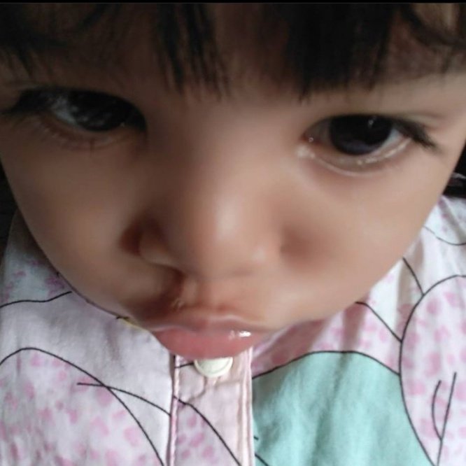 linacilla tweet picture
