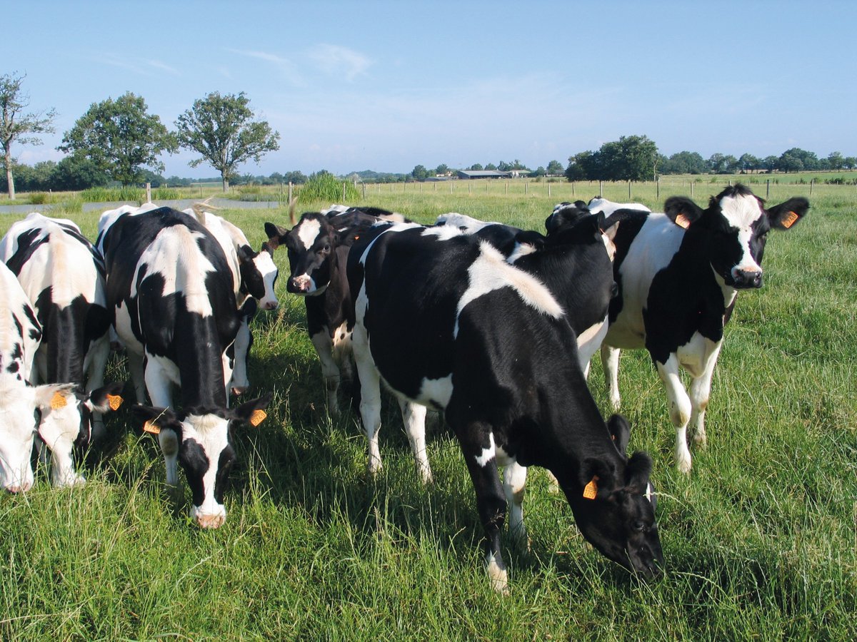 Chambres agri PdL tweet media