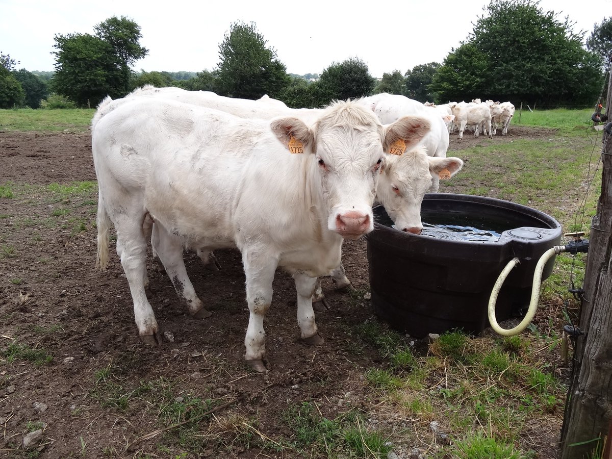 Chambres agri PdL tweet media