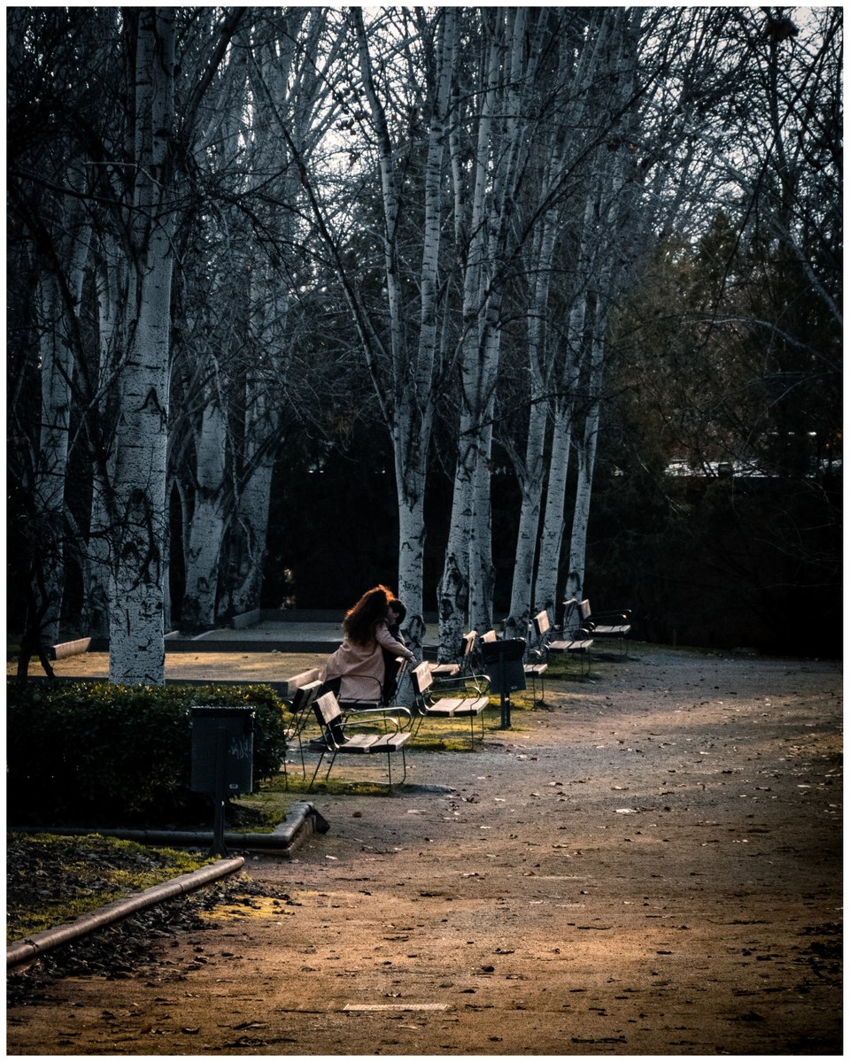 jrubioruiz's tweet photo. Y entonces su pelo en llamas #mismomentosgranadinos #encasa #Granada
#streetphotography #people #love #couple #inlove #park #bench #trees #sunset #flame #fire #embrance #hugs #privacy #sony #sonyphotogallery #sonyphotography #sonyrx100 #sonyrx100VII #winter https://t.co/HWWOtvdvxK