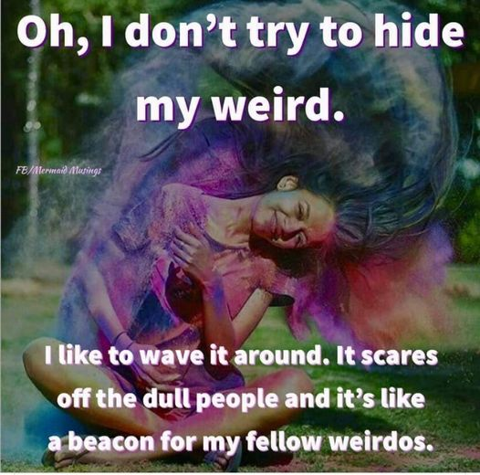 HippieHappy32's tweet photo. I don't try to hide my weird😌😌 https://t.co/XjKTA1uijj