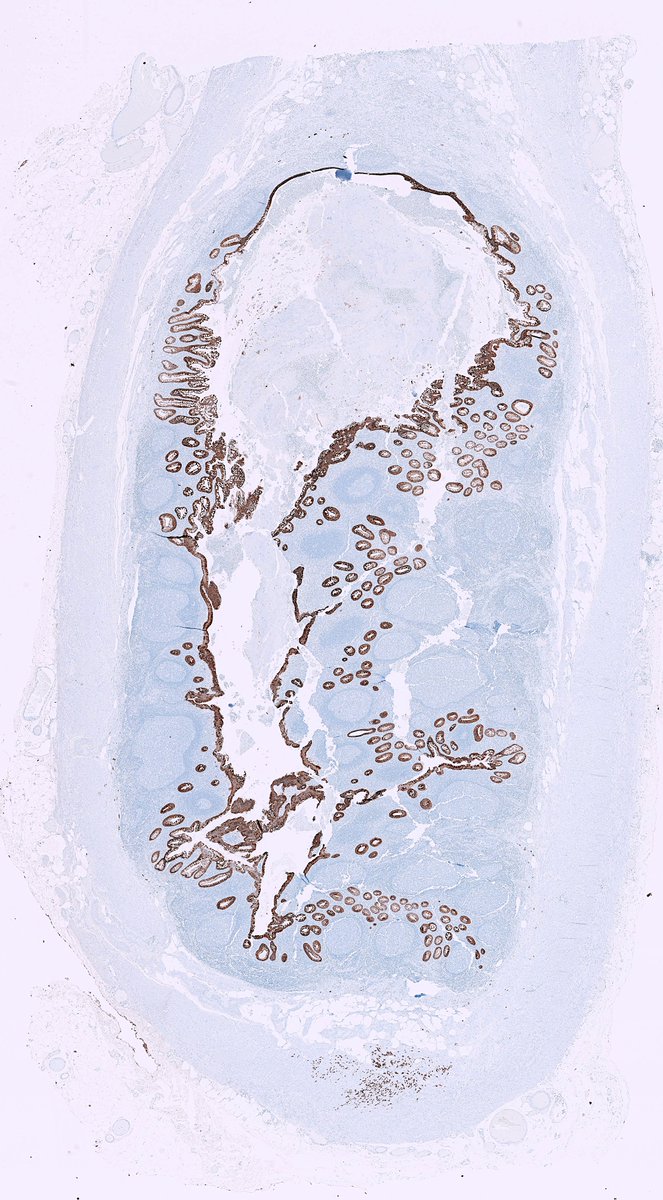 Greg Charville tweet media