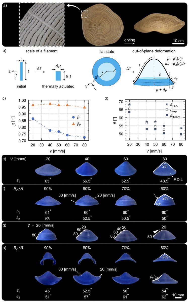 Amir A Zadpoor tweet media