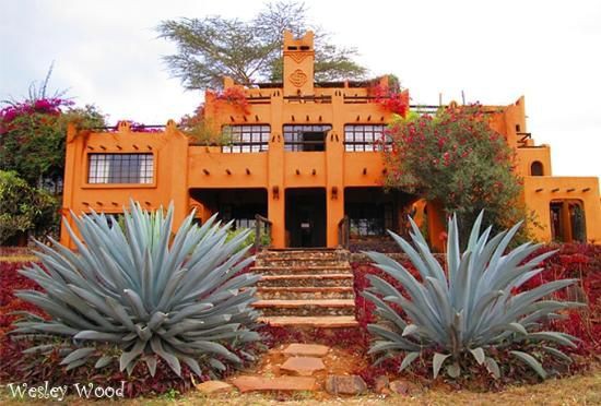 afromorphism's tweet photo. The African Heritage House 

📍Nairobi, Kenya.

Designed by architect Alan Donovan. This is a stunning example of blending art and architecture. This iconic structure features a fusion of traditional African elements with modern design, creating a visually striking environment. https://t.co/jNWHa9frLR