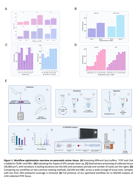 PastelBio's tweet photo. Refining Spatial Proteomics by Mass Spectrometry: An Efficient Workflow Tailored for Archival Tissue https://t.co/WP5CoKZGGZ
---
#proteomics #prot-preprint https://t.co/Jei5s05P2J