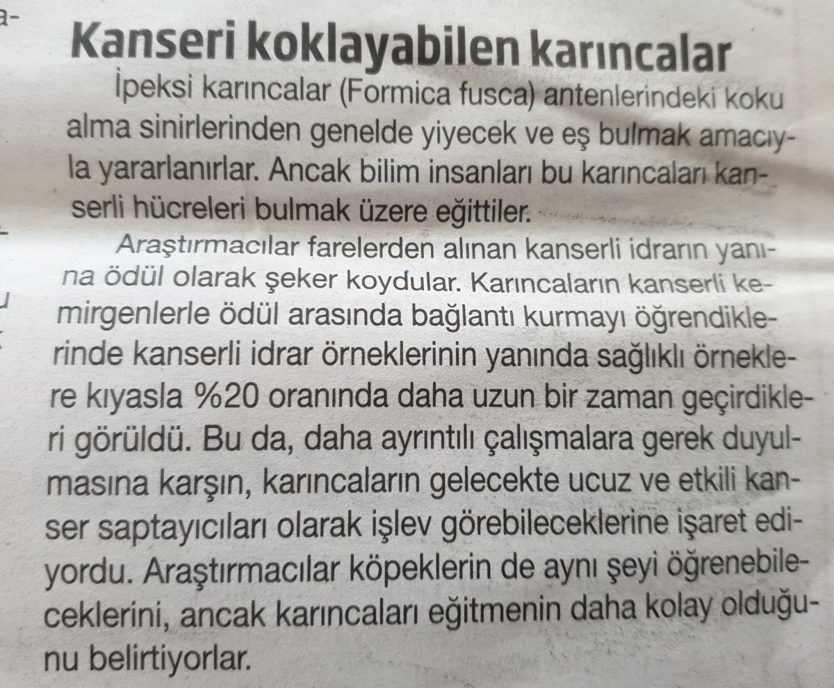 okuriken's tweet photo. Bazı ilginç notlar... Bilim... Karınca ve kanser... Hayat... @HBT_Dergi Ocak 2024... https://t.co/c4PW1jrh0k