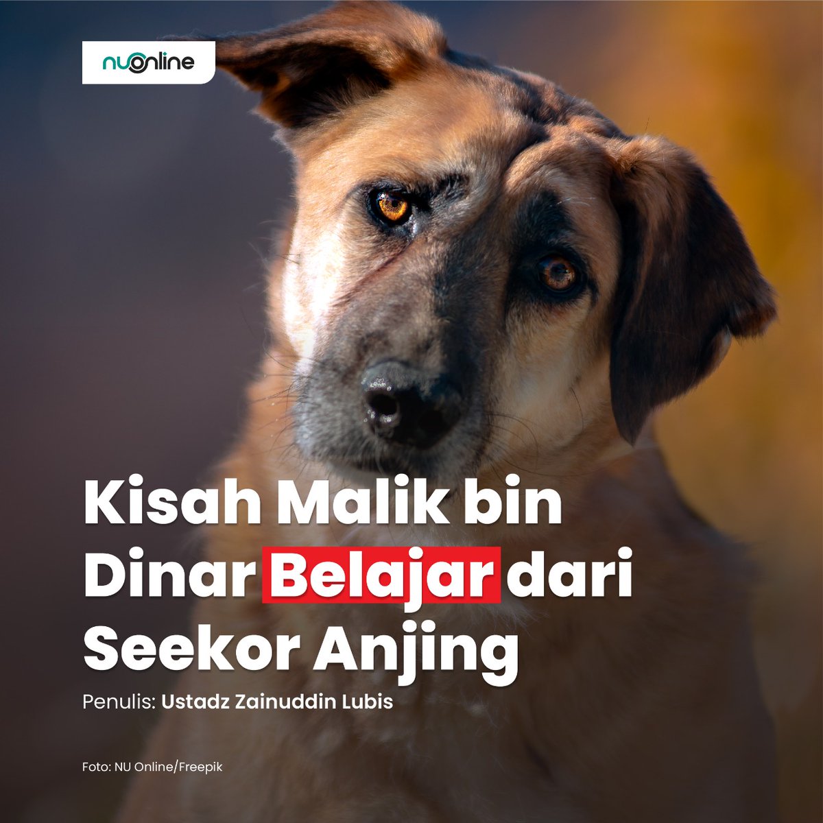Kisah Malik bin Dinar BELAJAR dari Seekor Anjing

- A Thread

#NUOnline
#HikmahNUOnline
#KisahNUOnline