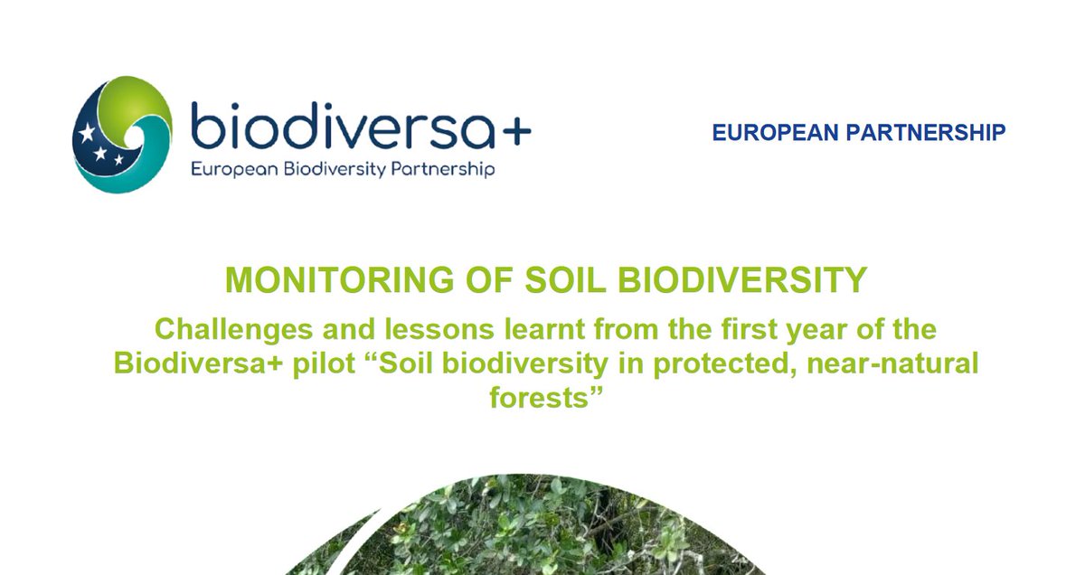 Mid-term report for @BiodiversaPlus Monitoring of Soil Biodiversity just released. Report addressed several issues regarding international cooperation and sampling shipment. Great job from all coordinators! biodiversa.eu/wp-content/upl…