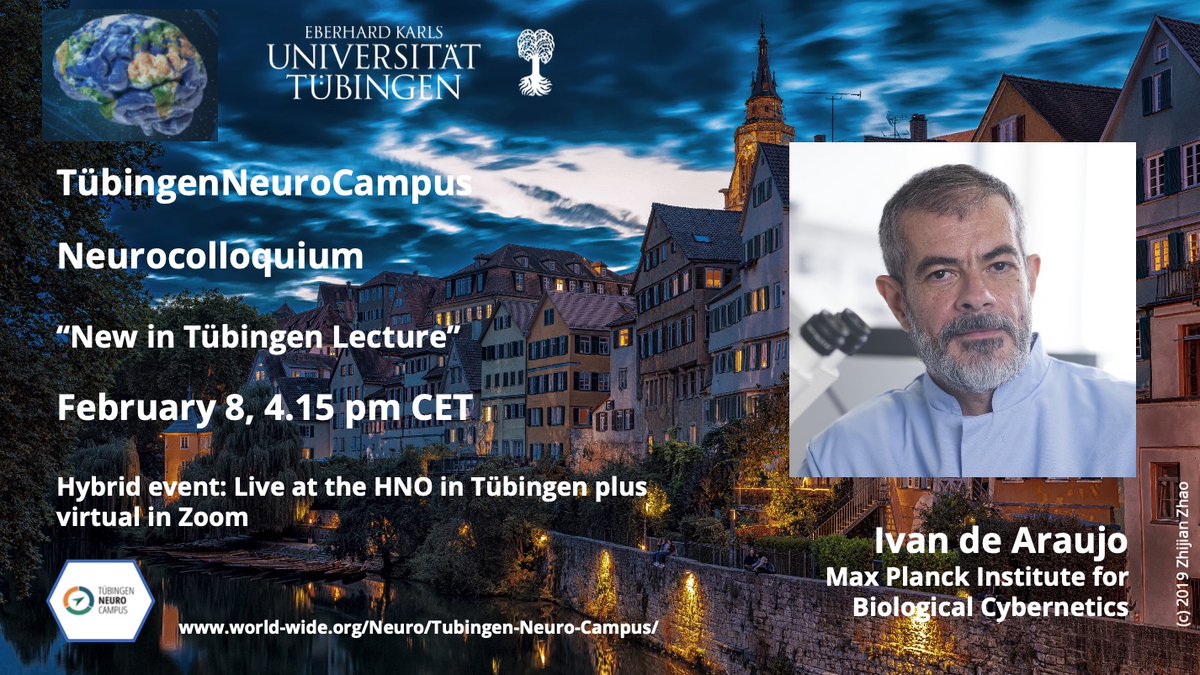 📢Great last talk of the winter term in our Neurocolloquium on Feb 8 at 4.15pm CET: Ivan de Araujo, new director at the @MPICybernetics will talk about '#Neural #Circuits that connect #Body and #Mind', live in Tübingen & in Zoom @worldwideneuro 👉Sign up: bit.ly/2TPjNZ1