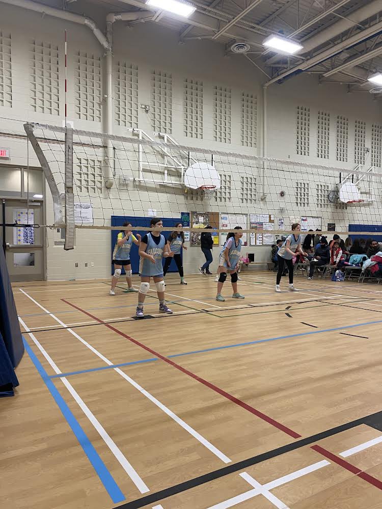 Falgarwood_HDSB's tweet photo. Falgarwood’s Girls’ Volleyball team won their tournament!!! We are proud of you and your Falcon Pride and Leadership!!Way to go and thank you to our coaches Ms.Chojka and Mrs.Stewart. https://t.co/hA2k7BAILZ