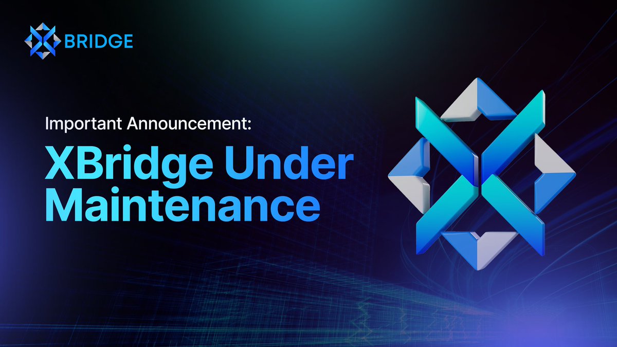 X Bridge tweet media