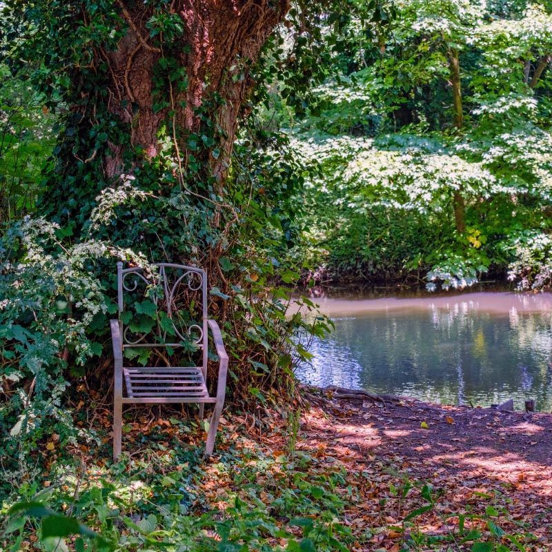 Wrought iron chair in the middle of the woods. Seeing this unusual sight made me wonder who put it there! Photo print. buff.ly/48TUC8G
#photoarttreasures #WroughtIronChair
#WoodsPhotography #NatureMystery #UnusualSights
 #OutdoorPhotography #NatureLovers
#PhotoPrint