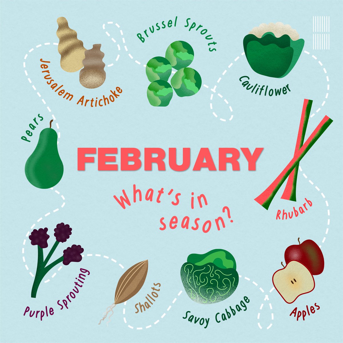 MalvernHills_DC's tweet photo. Here is our handy guide to what's in season in #February. Cauliflower, purple sprouting broccoli and rhubarb are all on the list.
Visit https://t.co/eWUAqybNR0 for more info.
#FoodSavvyWorcestershire #EatLocal #EatSeasonal #LetsWasteLess https://t.co/W5kszIhnaD