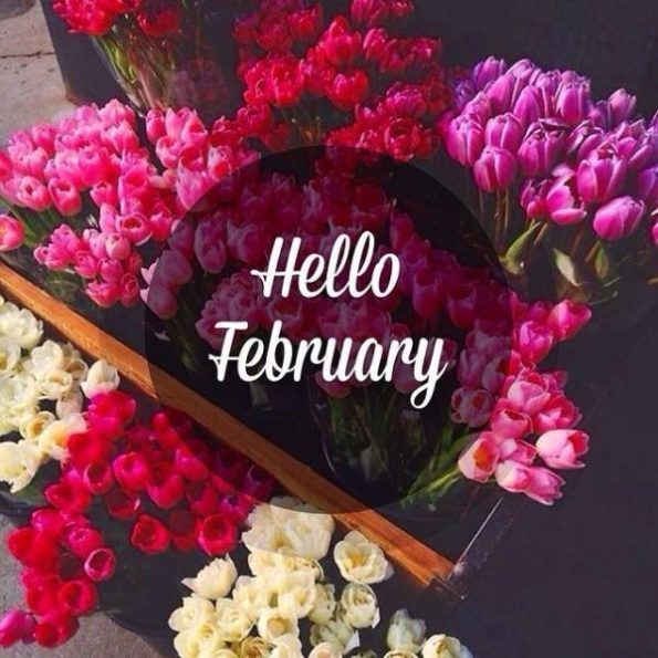 Happy 1st of February! 😀 Make it a month to remember ❤️ #HelloFebruary #MonthOfLove #FebruaryFeels #FebruaryFirst