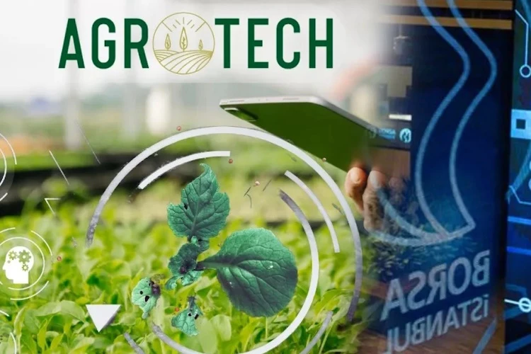 GirisimHaber's tweet photo. Agrotech'ten, Girişim Sermayesi Yatırım Ortaklığı Adımı
https://t.co/Xs4jqcOn6h

@agrotechgrup #gsyo https://t.co/Ep57S48EOp