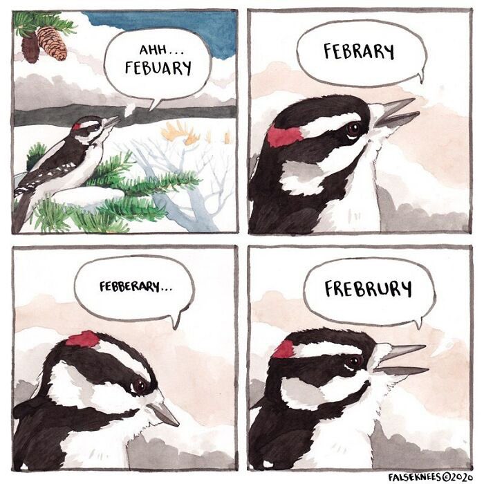 EmmelydeWilt's tweet photo. Hij kan weer @FalseKnees https://t.co/mqCyXyv8pn
