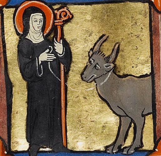 #Imbolc 1st Feb #Feastday of St Brigid who bears same name as the Irish goddess. The Saint is a dairywoman and brewer – performed miracle of turning water into beer. As a child she drank milk from a red eared, white cow. #MythologyMonday #IrishSaints #WomenSaints #saintfeastday