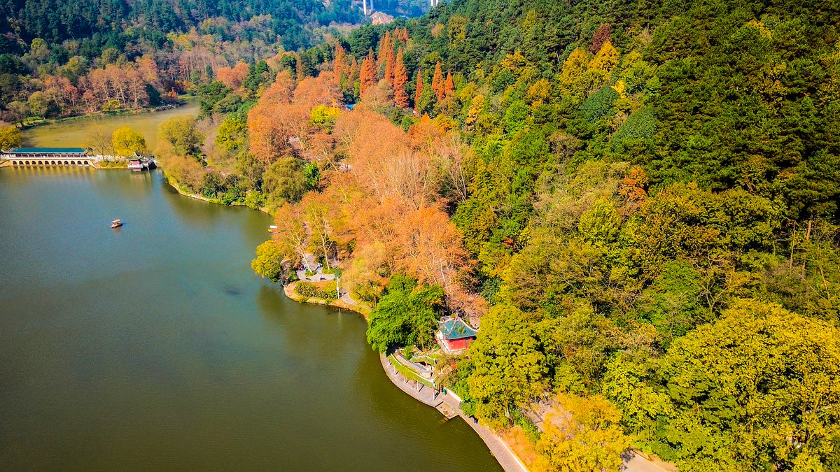uatcnews's tweet photo. The adorable little monkeys🐵 in Qianling Mountain Park are waiting for you to discover the beauty of Guiyang!🇨🇳 With dense trees and ancient temples, this park is a paradise for nature lovers and a cultural gem. #BornforAdventure https://t.co/P9WSlQz1OZ