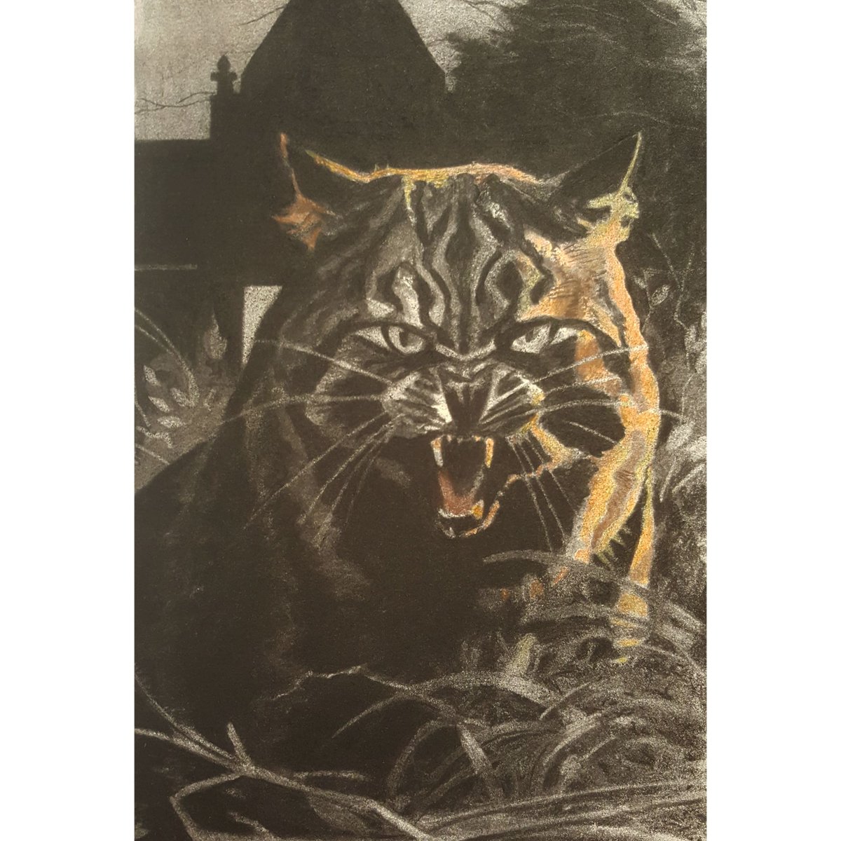Good Boy of Wales - Charcoal + coloured pencils

#wildcat #victoriangothic #cat #charcoaldrawing