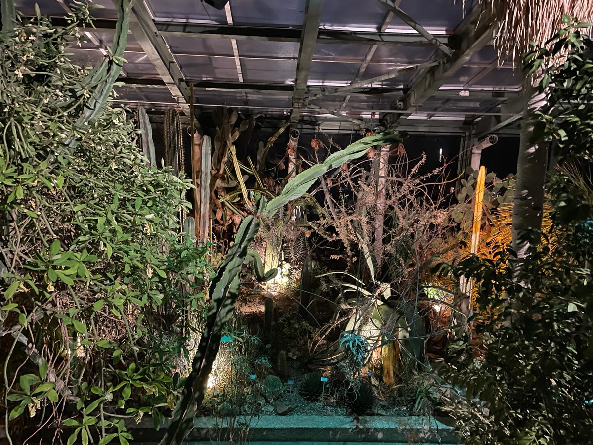 Great to launch our Presidency of the #GreeningEmbassiesNetwork at Bern’s beautiful Botanic Garden! 🇬🇧

Many thanks to Professor Dr. Fischer, Director of the Botanic Garden🇨🇭