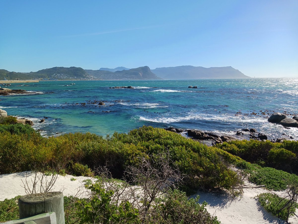 QM_Sports's tweet photo. Sunrise and sunset game drives, Boulders beach to see the penguins 🐧, Goedgeacht Trust, African cuisine and so much more https://t.co/O6ALc8F6oS