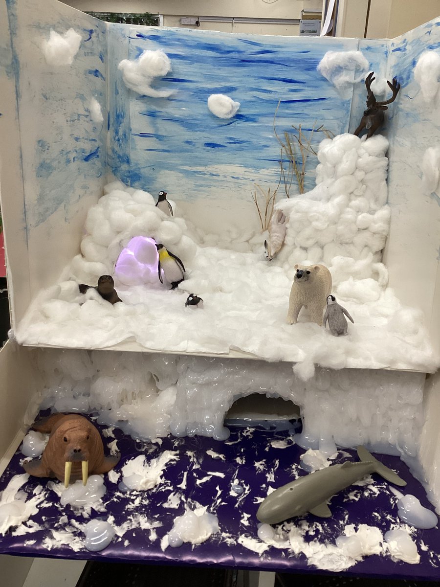 Turton_SP_P's tweet photo. Some of the children have brought in habitats that they have made at home - look how amazing they are! #StPaulsEarlyYears https://t.co/SMeHEG6oqv